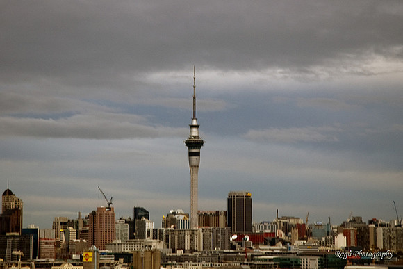 Aukland Skyline