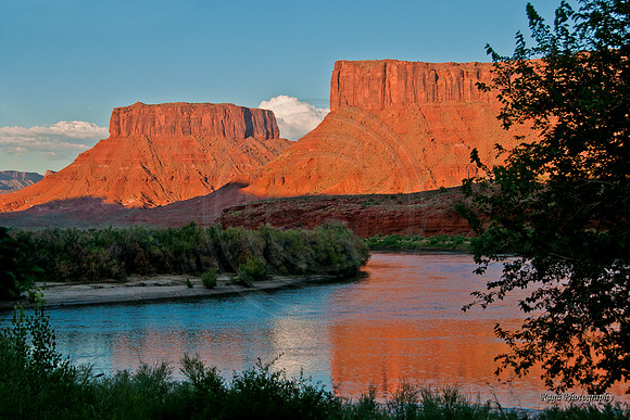 Red Cliffs - Utah