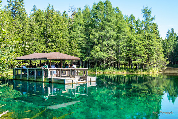 Kitch-iti-kipi (The Big Spring)