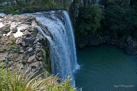 Whangarei Falls