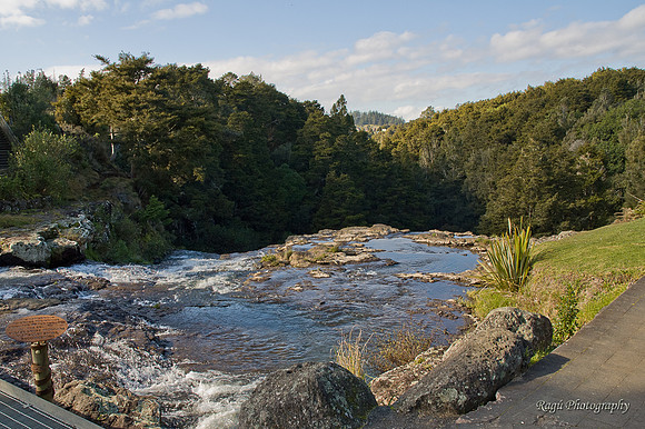 Whangarei Falls