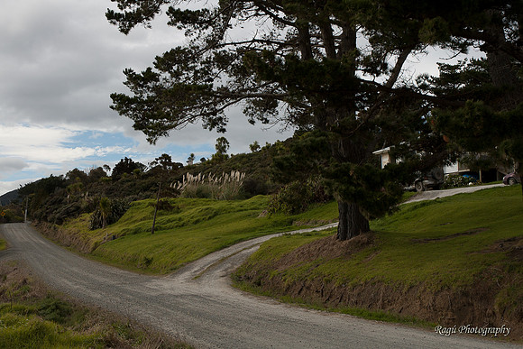 Hokianga Region