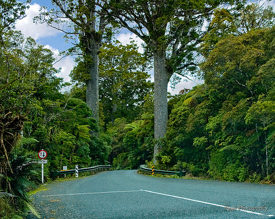 One Lane Bridge
