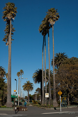 Clive Square, Napier